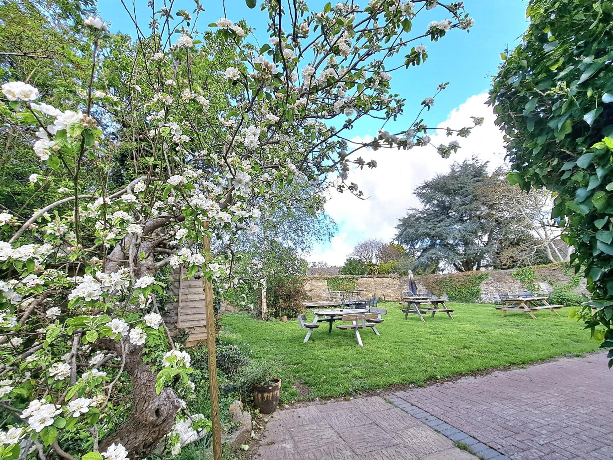 Bed and Breakfast The White Hart Eynsham Exterior foto